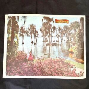 Vintage Florida Cypress Gardens Poster Southern Belle Spanish Moss Art Poster
